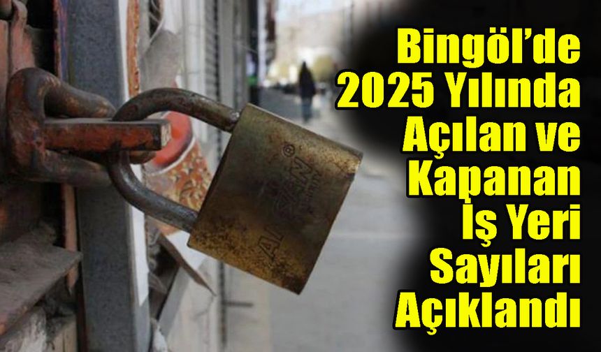 Bingöl’de 2025 Yılınca Açılan ve Kapanan İş Yeri Sayıları Açıklandı