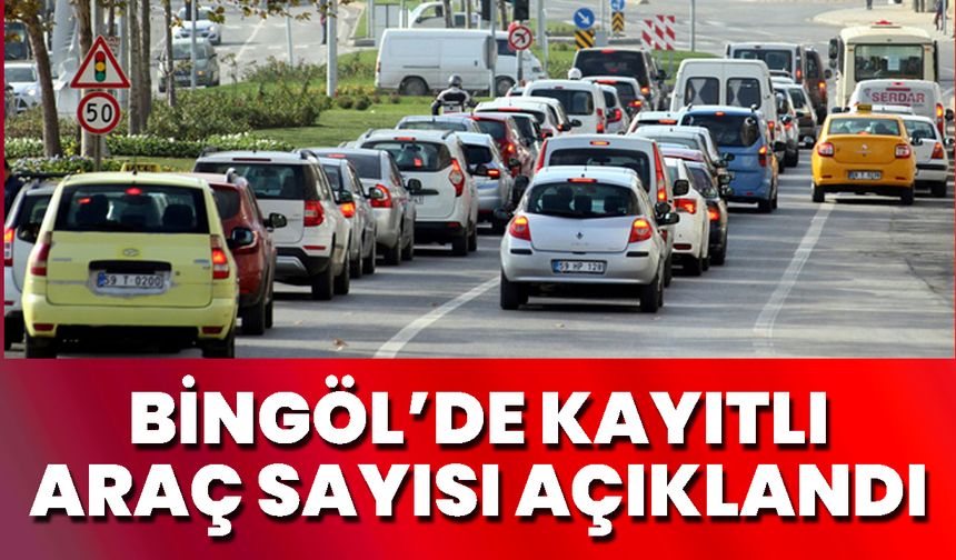 Bingöl’de Kayıtlı Araç Sayısı Açıklandı
