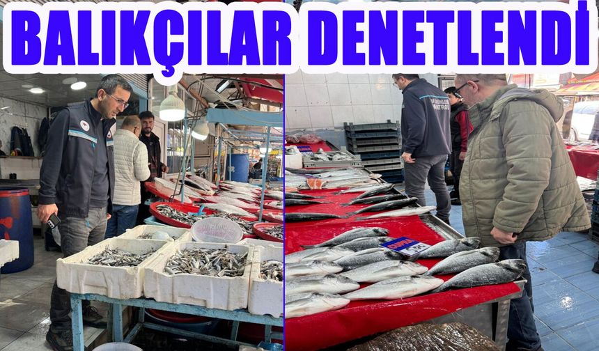 Bingöl’de Balıkçılar Denetlendi