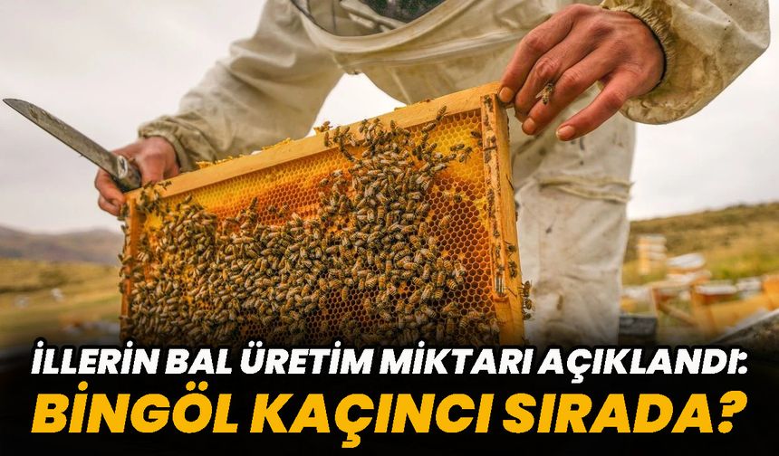 İllerin Bal Üretim Miktarı Açıklandı: Bingöl Kaçıncı Sırada?