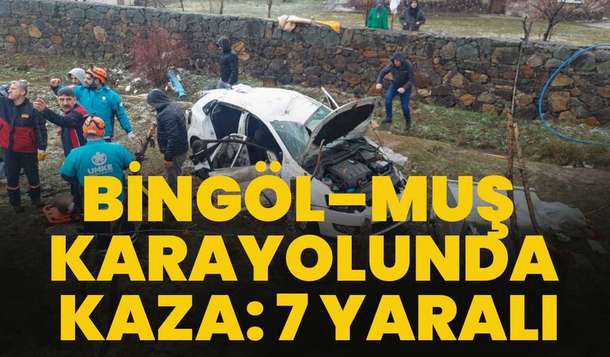 Bingöl–Muş Karayolunda Kaza: 7 Yaralı
