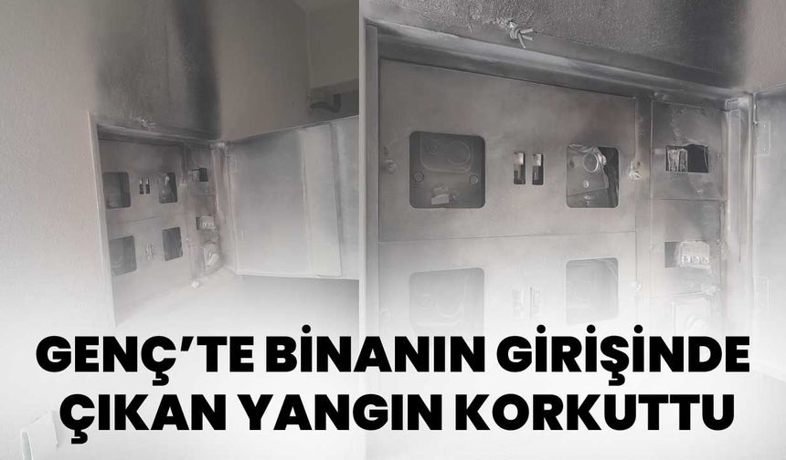 Genç’te Binanın Girişinde Çıkan Yangın Korkuttu