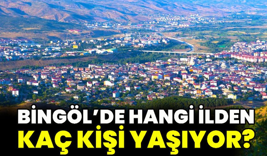 Bingöl’de hangi ilden kaç kişi yaşıyor?