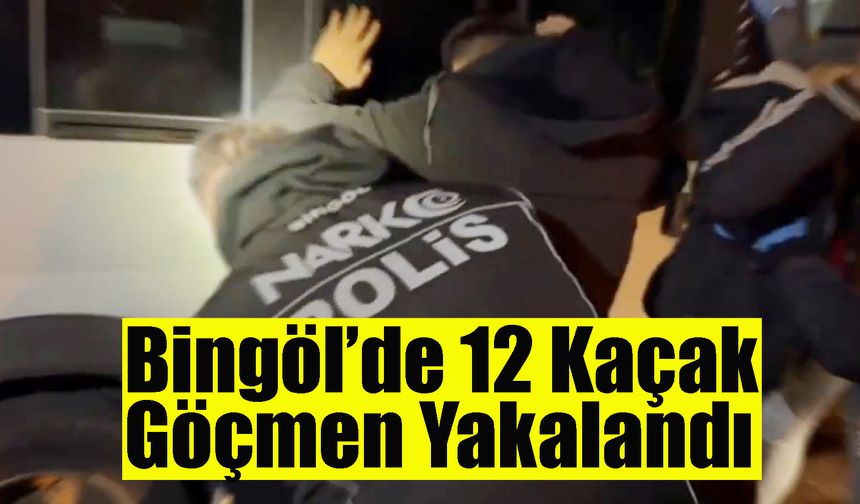 Bingöl’de 12 Kaçak Göçmen Yakalandı