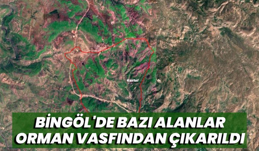 Bingöl'de Bazı Alanlar Orman Vasfından Çıkarıldı