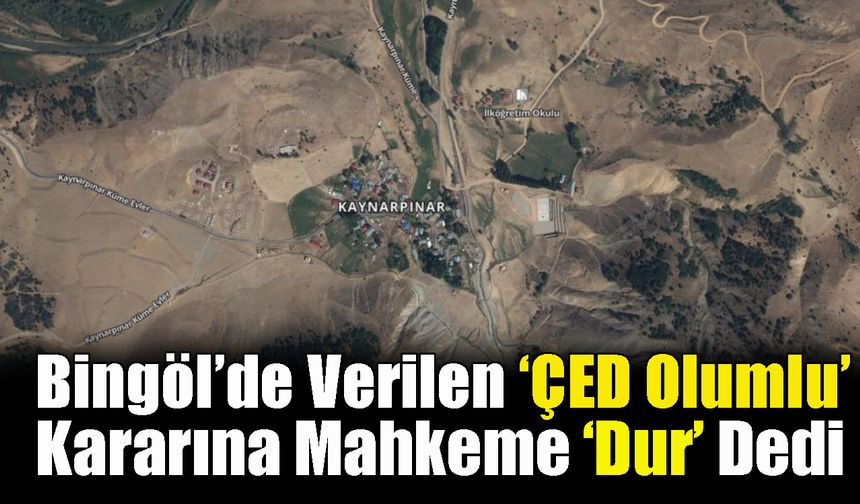 Bingöl’de Verilen ‘ÇED Olumlu’ Kararına Mahkeme ‘Dur’ Dedi