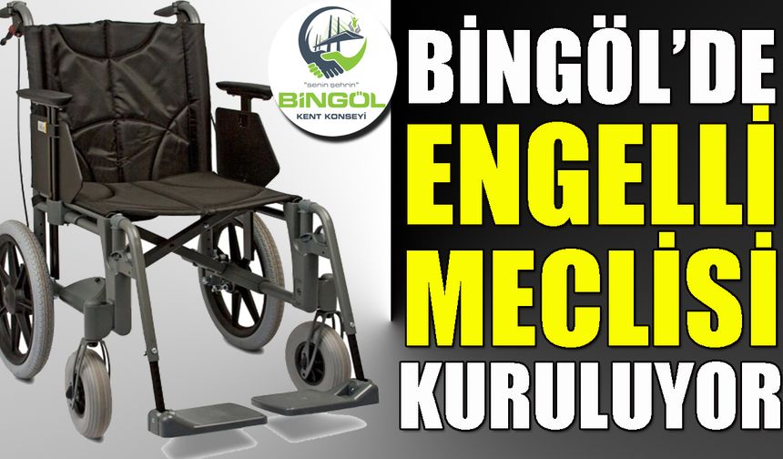 Bingöl’de Engelli Meclisi Kuruluyor