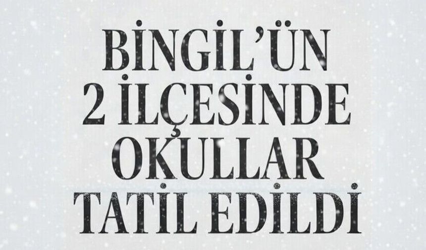 Bingöl'ün 2 ilçesinde okullar tatil edildi