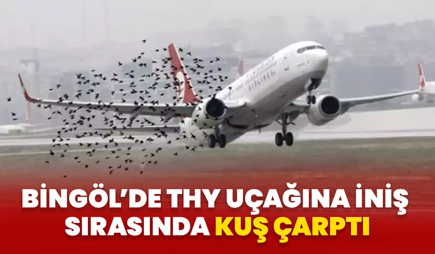 Bingöl’de THY uçağına İniş Sırasında Kuş Çarptı!