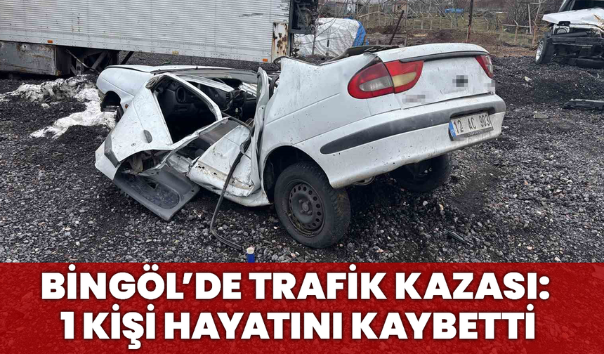 Bingöl’de Trafik Kazası: 1 Kişi Hayatını Kaybetti