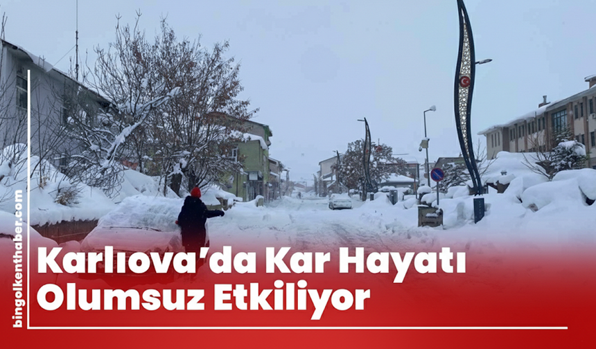 Karlıova’da Kar Hayatı Olumsuz Etkiliyor