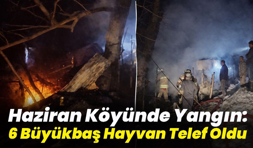 Bingöl'de Yangın: 6 Büyükbaş Hayvan Telef Oldu