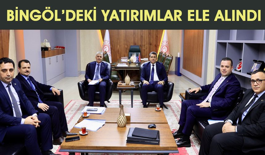 Bingöl'de 'Yatırım Değerlendirme Toplantısı'