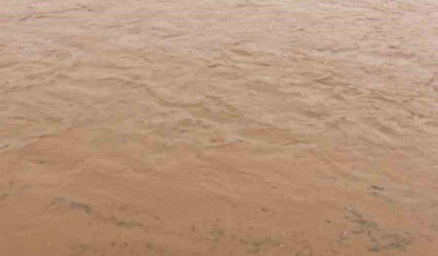 Diyarbakır’da Sel: 45 Koyun Telef Oldu