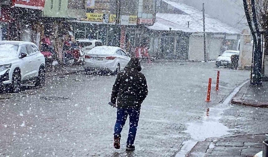 Karlıova’da Mart Sonunda Kar Yeniden Etkili Oldu