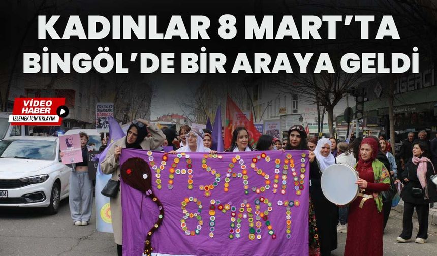 Kadınlar 8 Mart’ta Bingöl’de Bir Araya Geldi