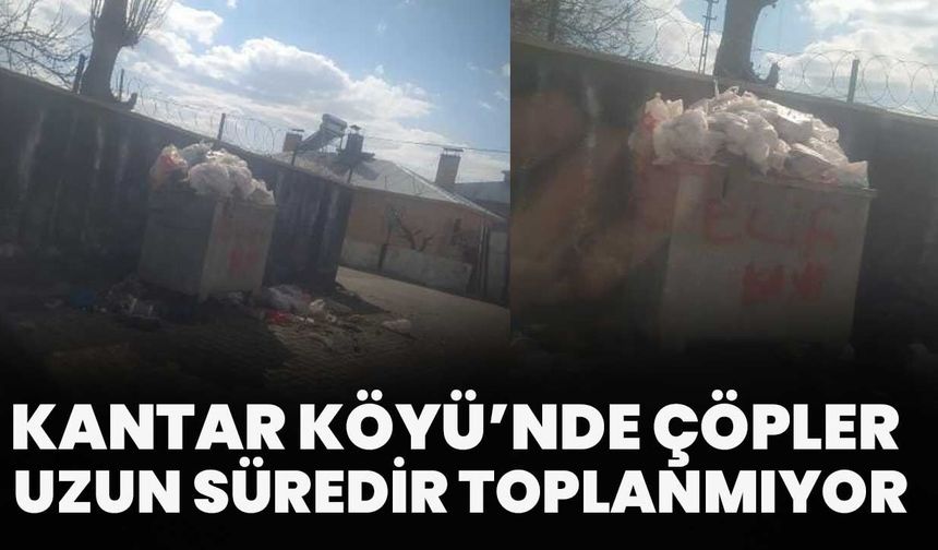 Kantar Köyü’nde Çöpler Uzun Süredir Toplanmıyor