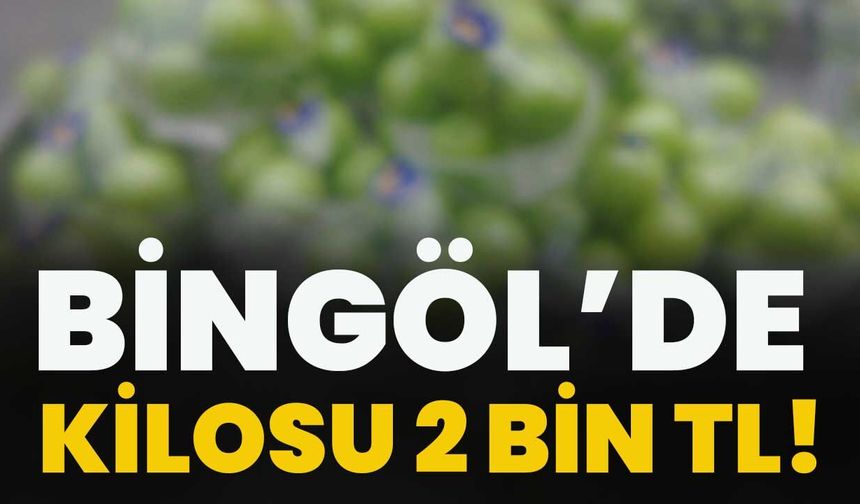 Bingöl’de Kilosu 2000 Bin TL!
