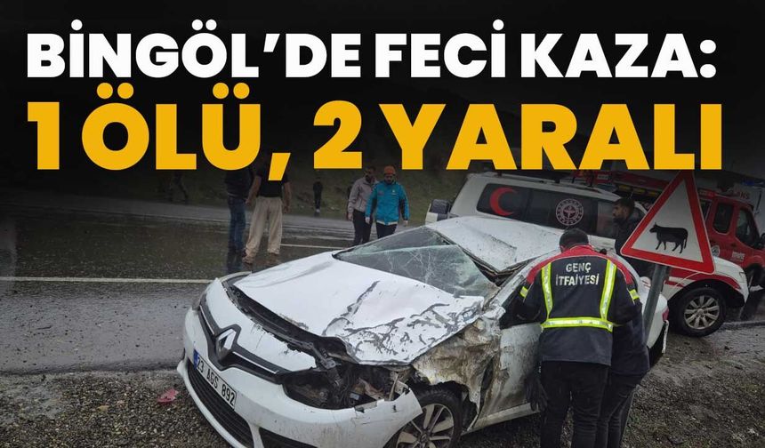 Bingöl’de Feci Kaza: 1 Ölü, 2 Yaralı