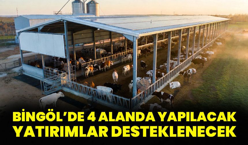 Bingöl’de 4 Alanda Yapılacak Yatırımlar Desteklenecek