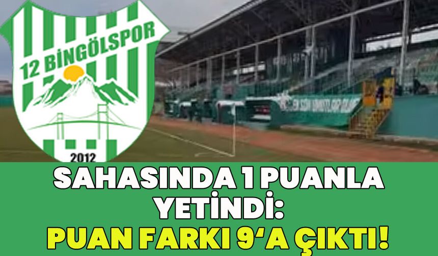 12 Bingölspor, 1 Puanla Yetindi