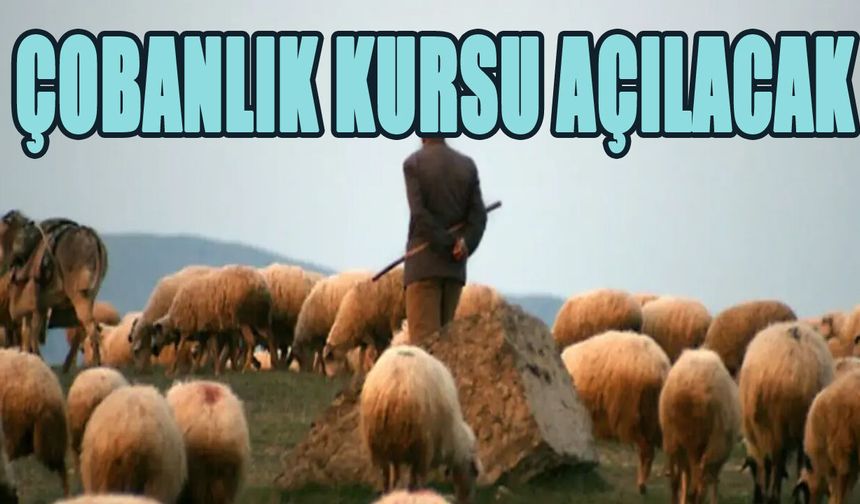Bingöl’de Çobanlık Kursu Açılacak!