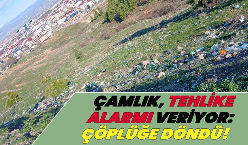 ‘Bingöl’ün Ciğerleri’ Çöplüğe Döndü!