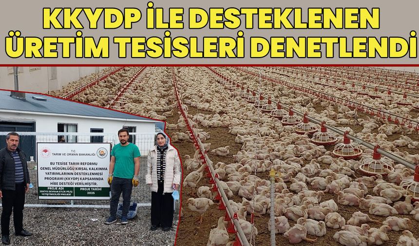 Bingöl’de Kanatlı Eti Üretim Çiftliklerinde Denetim