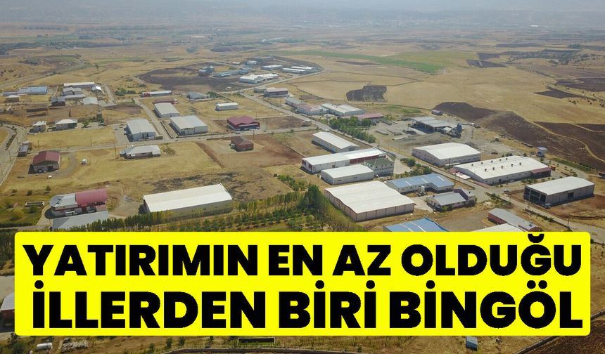 Bingöl İçin Üzücü Tablo: Yatırımın En Az Olduğu İllerden Biri Bingöl