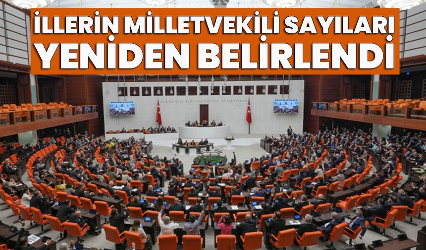 İllerin Milletvekili Sayıları Yeniden Belirlendi: Bingöl'de Sayı  Değişmedi