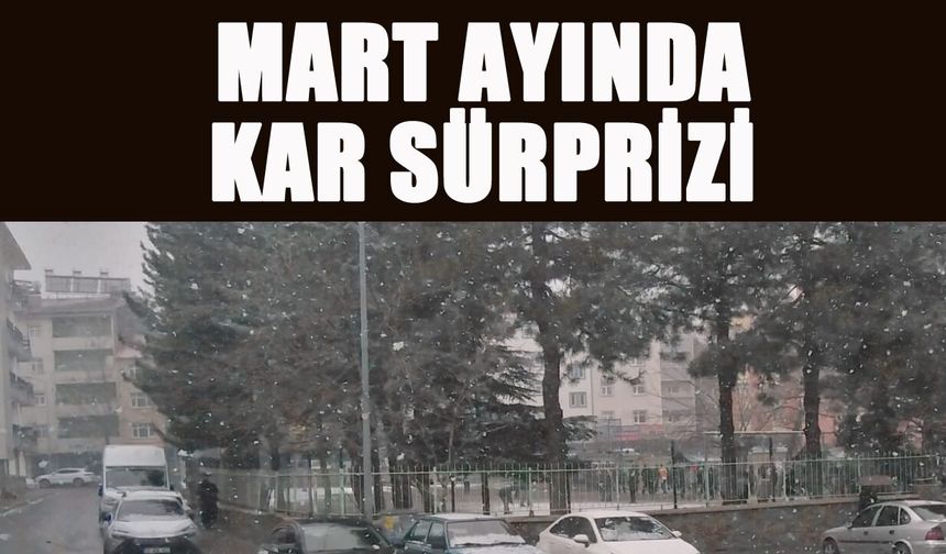 Bingöl'de Mart Ayında Kar Sürprizi