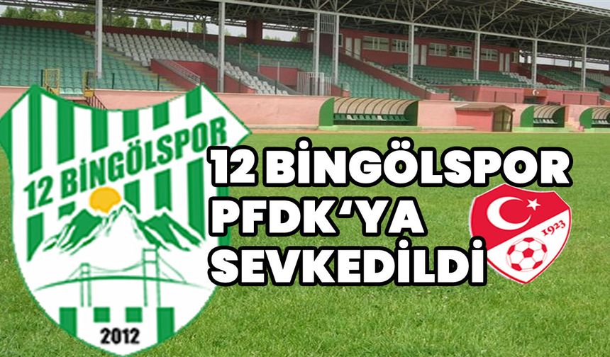 12 Bingölspor PFDK’ya Sevkedildi