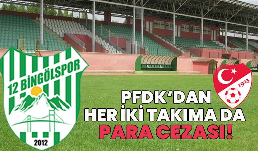PFDK’dan 12 Bingölspor’a Para Cezası!