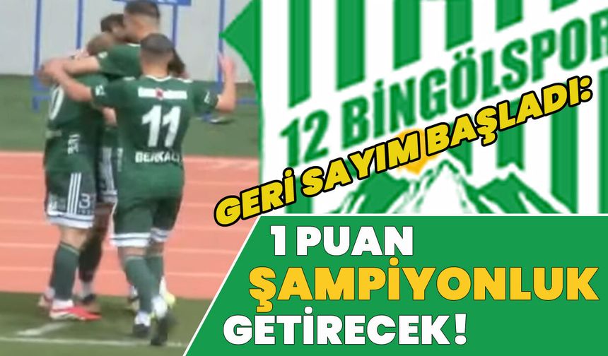 12 Bingölspor, Şampiyonluğa Adım Adım: 1 Puanla Garantileyecek!