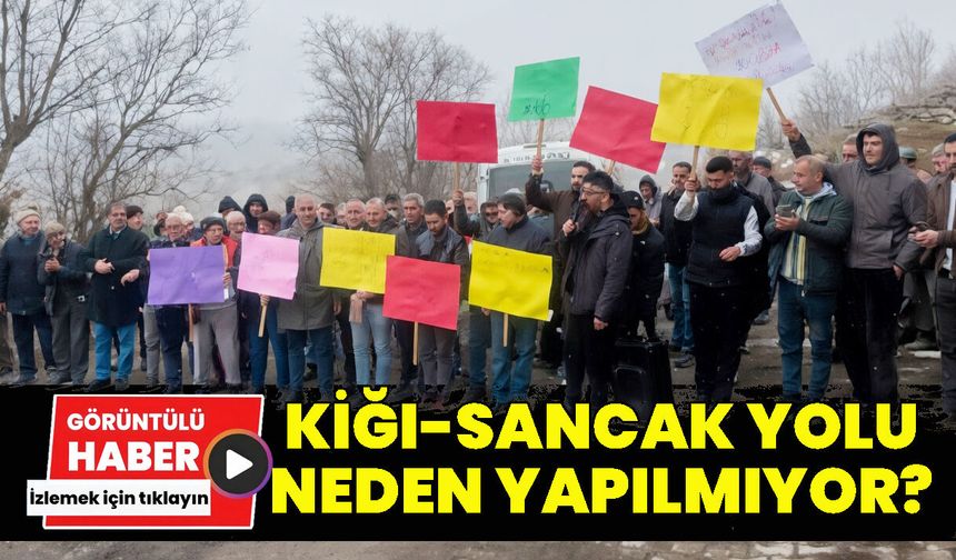 Kiğı-Sancak Yolu Neden Yapılmıyor?