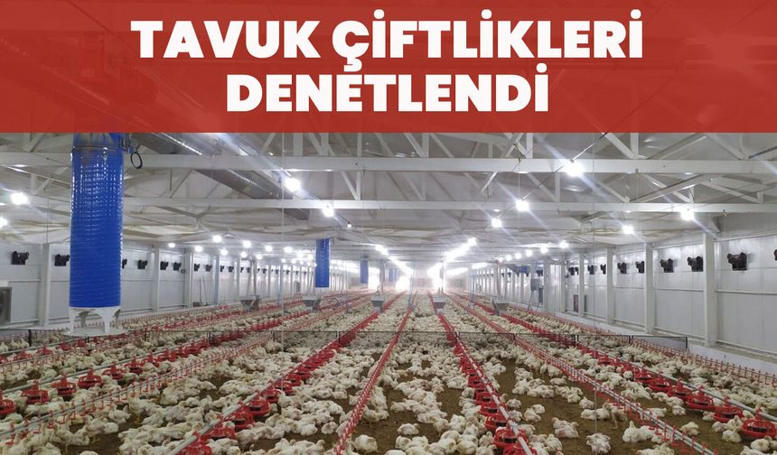 Bingöl’de Tavuk Çiftlikleri Denetlendi