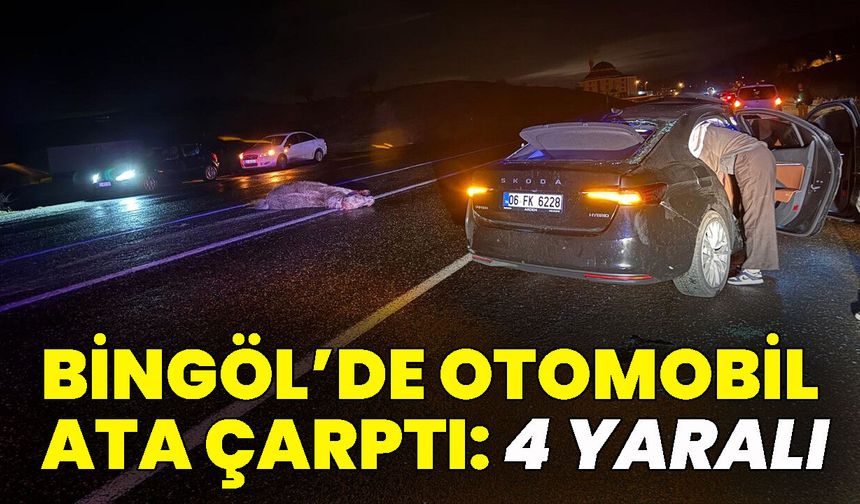 Bingöl'de Otomobil Ata Çarptı: 4 Yaralı