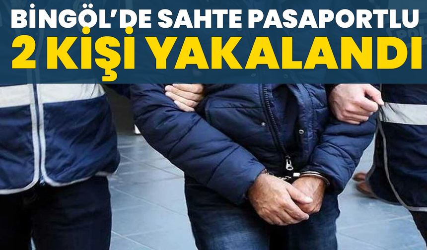 Bingöl’de Sahte Pasaportlu 2 Kişi Yakalandı