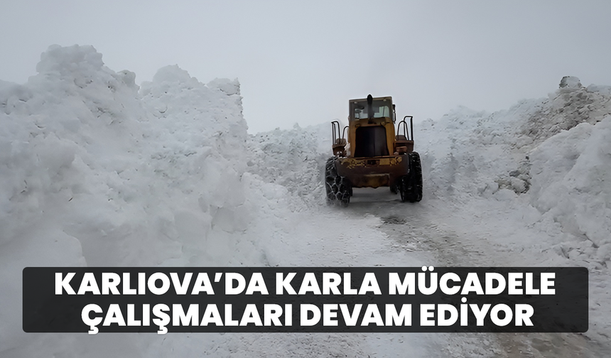 Karlıova’da Karla Mücadele Çalışmaları Devam Ediyor