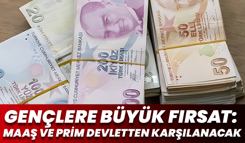 Gençlere Büyük Destek: Devletten Aylık 28 Bin Tl Maaş Fırsatı