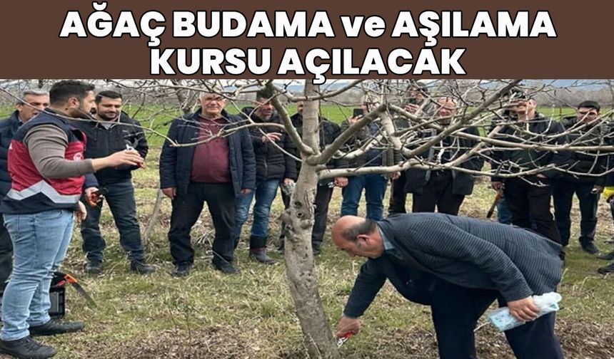 Bingöl’de Meyve Ağacı Budama ve Aşılama Kursları Düzenlenecek