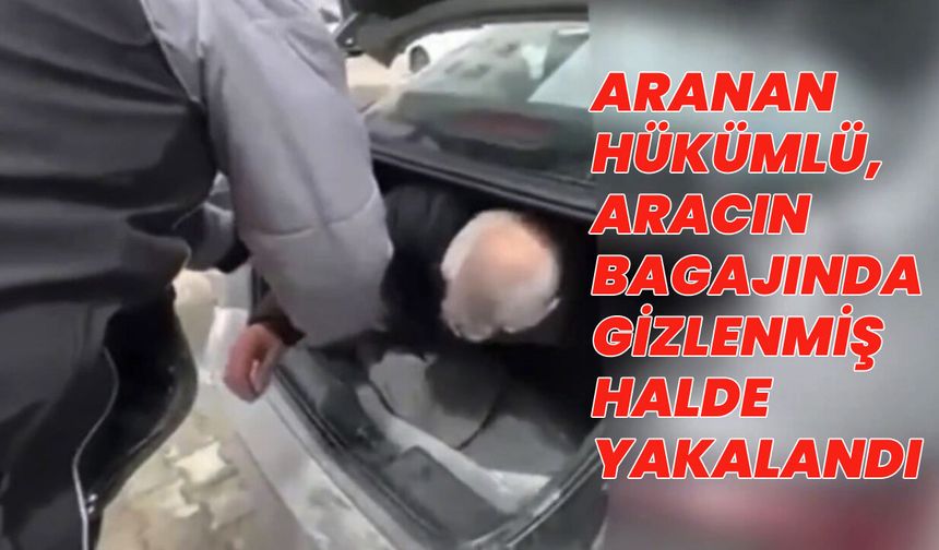 Bingöl'de 10 Yıl Hapis Cezası Bulunan Hükümlü, Otomobilin Bagajında Yakalandı