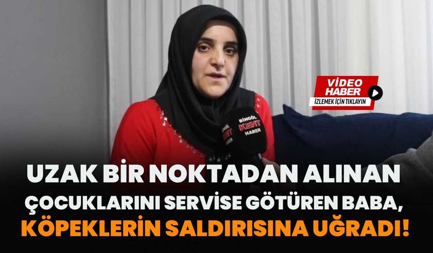 Uzak Bir Noktadan Alınan Çocuklarını Servise Götüren Baba, Köpeklerin Saldırısına Uğradı!