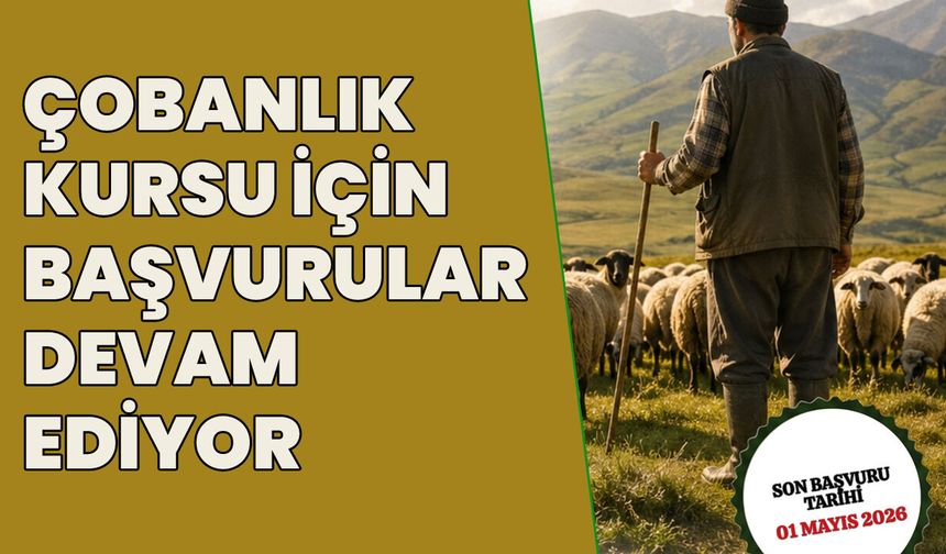 Bingöl’de Çobanlık Kursu için Başvurular Sürüyor