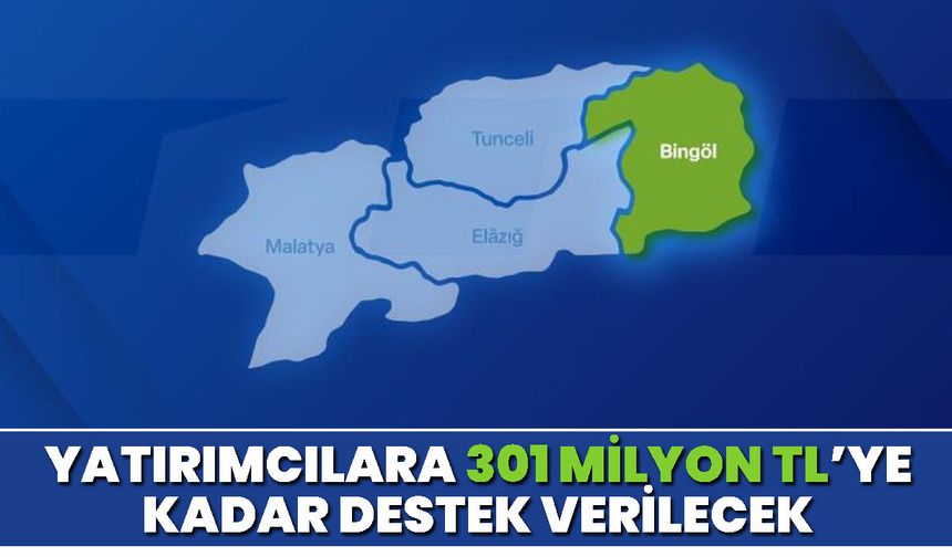 Yatırımcılara 301 Milyon TL’ye kadar destek verilecek