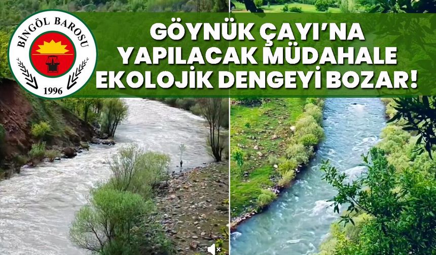 Göynük Çayı’na Yapılacak Müdahale Ekolojik Dengeyi Bozar!