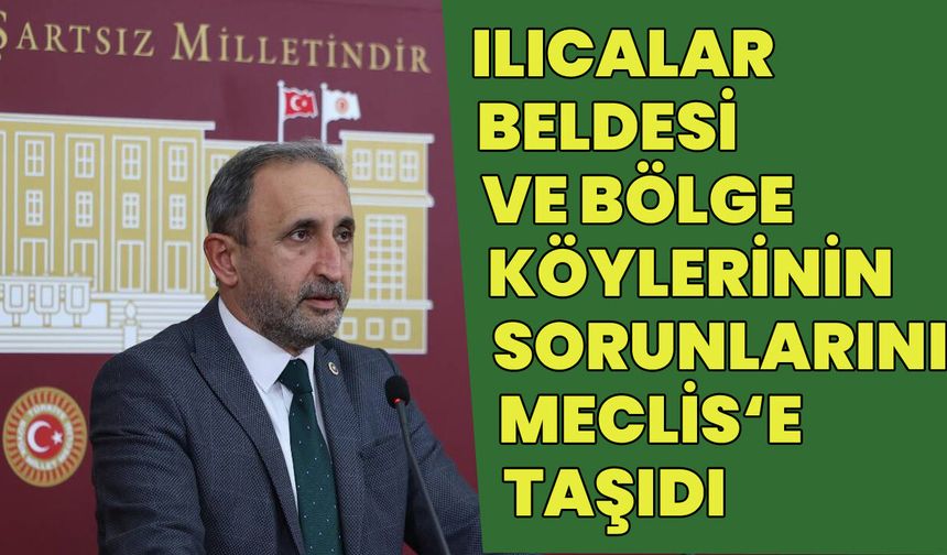 Bingöl'ün Ilıcalar Bölgesindeki Sorunları Meclis’e Taşıdı