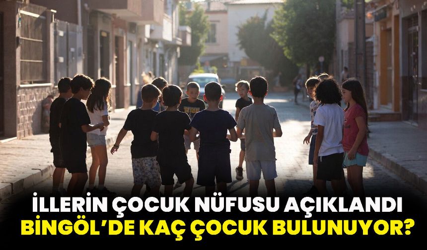 İllerin Çocuk Nüfusu Açıklandı, Bingöl’de Kaç Çocuk Bulunuyor?