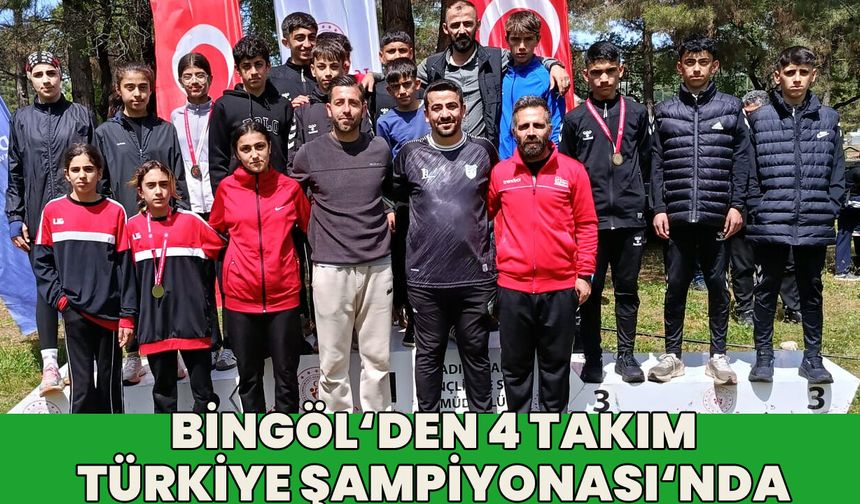 Bingöl'de 4 Takım, Türkiye Şampiyonası'na Katılacak