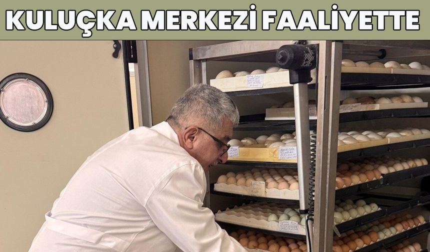 Bingöl'de 'Kanatlı Kuluçka Merkezi' Açıldı